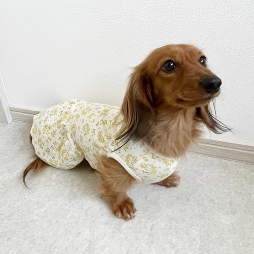 犬服 ミモザ柄ワンピース 【公式通販】