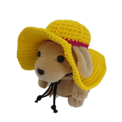 犬の帽子 黄色い帽子 安全帽 5枚目の画像