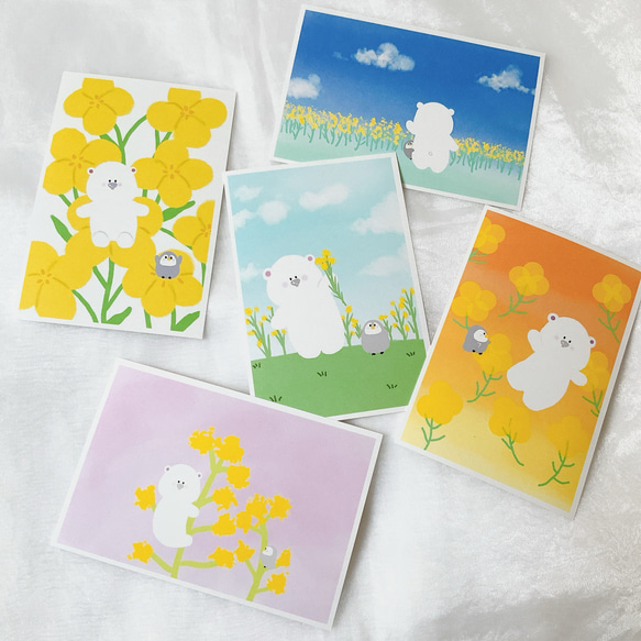 菜の花シロ&ペン　5枚セット　ポストカード　はがき　かわいい　春　文房具　絵葉書 1枚目の画像