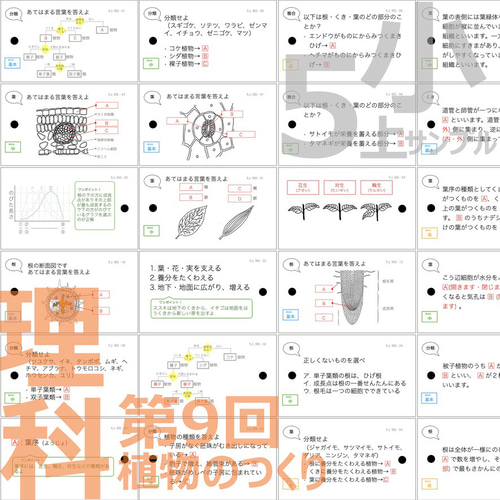 中学受験 暗記カード【5年上 社会・理科6-9回】組分けテスト対策