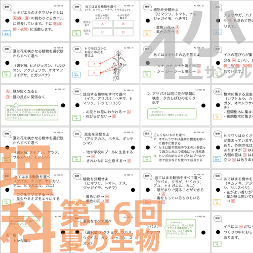 中学受験 暗記カード【4年上 社会・理科 16-19回】組分けテスト対策 予シリ 中学受験 暗記カード【4年生向け 理科 上 生物セット】 組分け