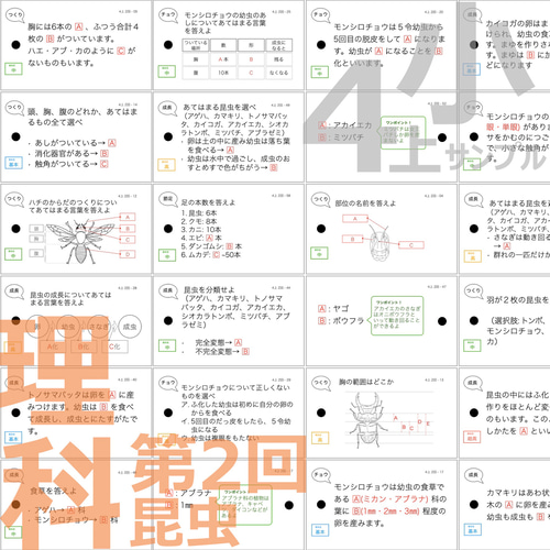 【お値下げ中☆新品未使用】　￼中学入試対策　理科　生物の基本 暗記カード 21】小学生理科 生物 暗記カード(中学受験対策、予習・復習