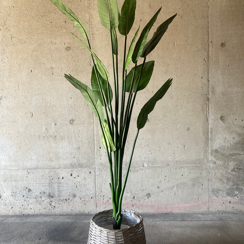 光触媒　人工観葉植物　ウォールグリーン　フェイクグリーン　ストレチア160 光触媒人工観葉植物ウォールグリーンフェイクグリーンストレチア1.6