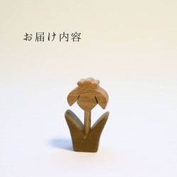  第2張的照片