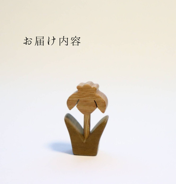  第2張的照片