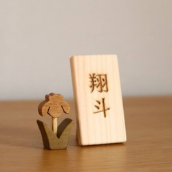  第3張的照片