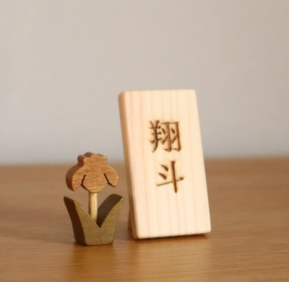  第3張的照片