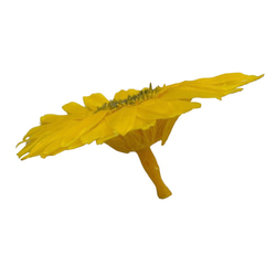 【即納】 ガーベラ 6輪 スプリンググリーン プリザーブドフラワー 花材 花 プリザーブド花材 パーツ 資材 4枚目の画像