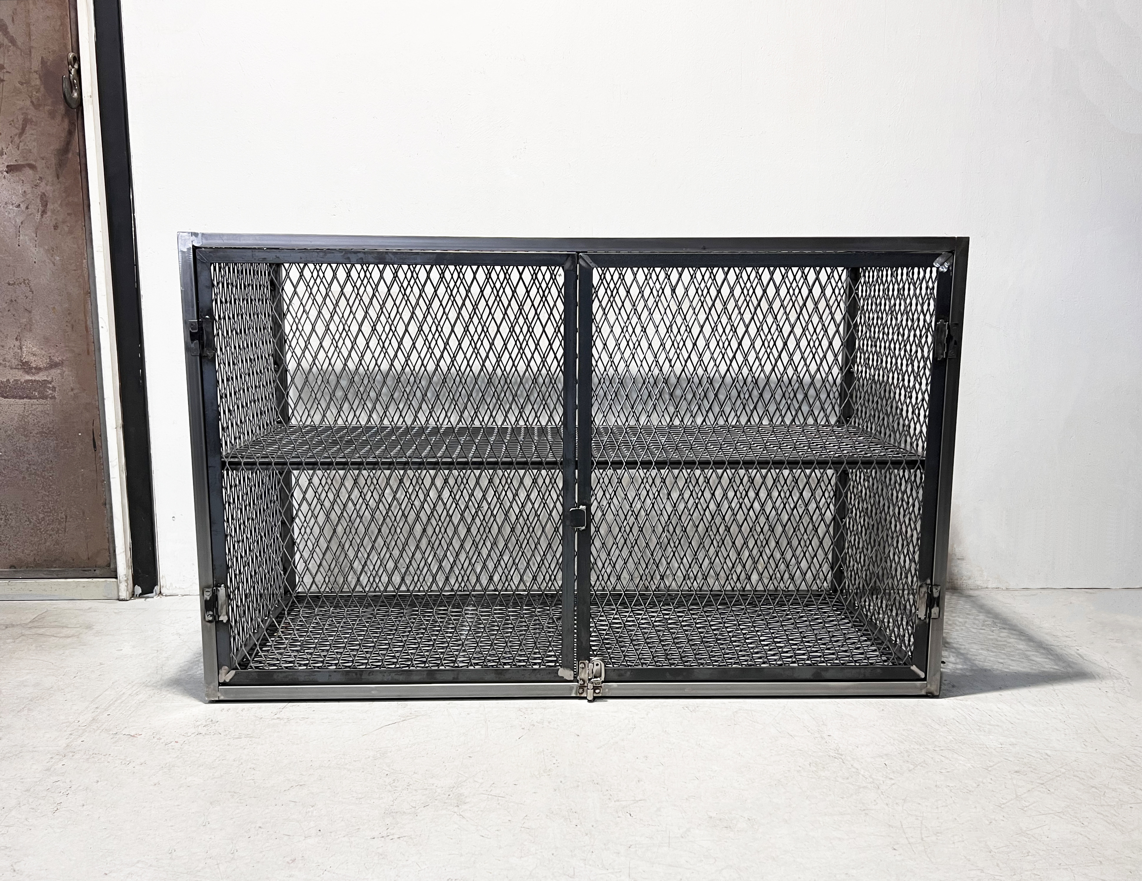 エキスパンドメタル什器 アイアン什器 アイアンシェルフ ビカクシダ