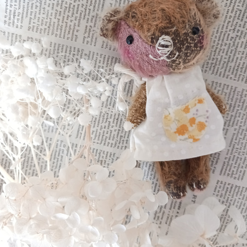 ポンチ目 テディベア 【公式通販】