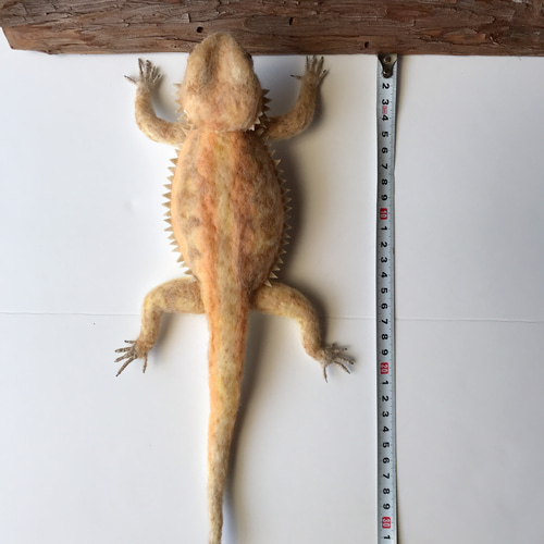 フトアゴ☆箱入り娘 羊毛フェルト 羊毛フェルトで爬虫類「とか源