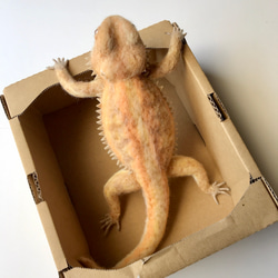 フトアゴヒゲトカゲ normal 羊毛フェルト 羊毛フェルトで爬虫類