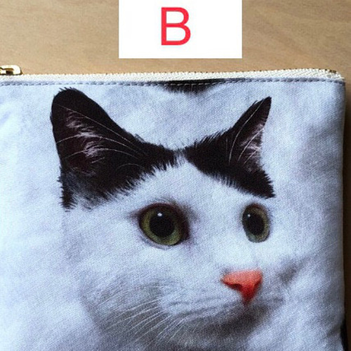 5種類のハチワレ猫から選べます 持ち手付き ファスナー開けても毛並み