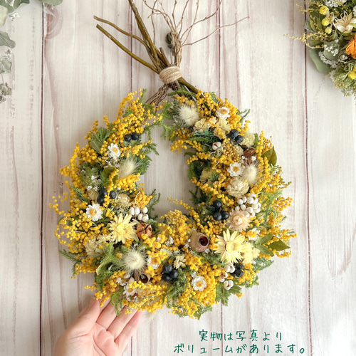 Spring Garden٭ミモザのドロップリース 40cm ドライフラワー ミネット