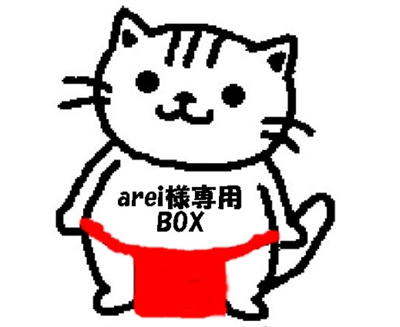 areiさま専用オーダーBOX 1枚目の画像