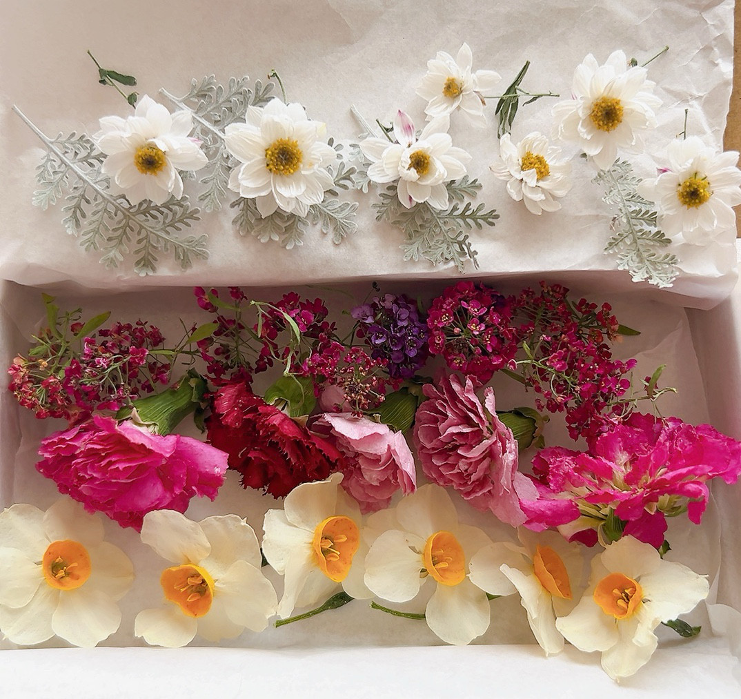 ドライフラワー　スマホリング.アリッサムリース ドライフラワー スマホリング.アリッサムリース ドライフラワー