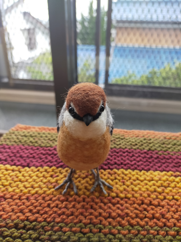 羊毛フェルト　モズ　百舌鳥　雄　鳥　野鳥 2枚目の画像