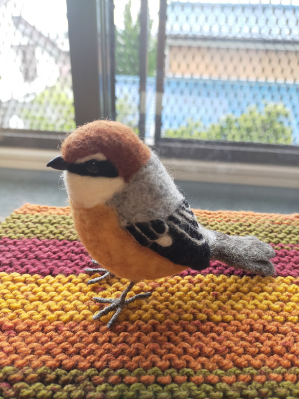 羊毛フェルト　モズ　百舌鳥　雄　鳥　野鳥 1枚目の画像