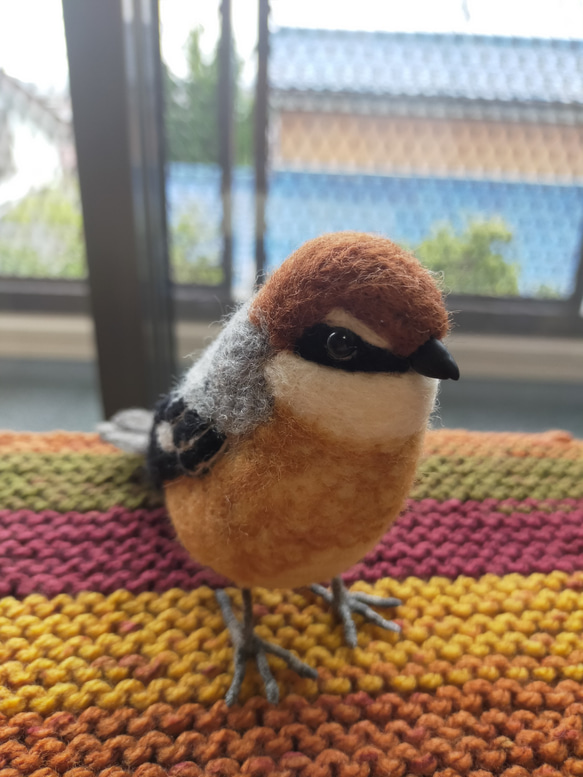 羊毛フェルト　モズ　百舌鳥　雄　鳥　野鳥 6枚目の画像