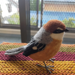 羊毛フェルト　モズ　百舌鳥　雄　鳥　野鳥 7枚目の画像