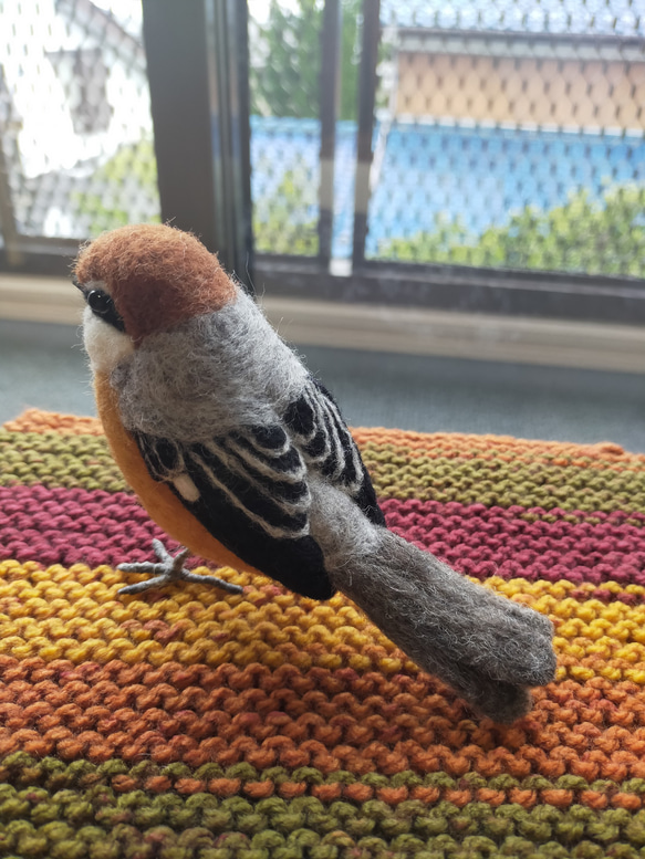 羊毛フェルト　モズ　百舌鳥　雄　鳥　野鳥 4枚目の画像