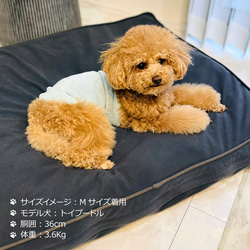 シルクメランジ ワンちゃん(超/小型犬)用 ロングタイプ 腹巻き S/M/Lサイズ 2枚目の画像