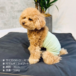 シルクメランジ ワンちゃん(超/小型犬)用 ロングタイプ 腹巻き S/M/Lサイズ 1枚目の画像