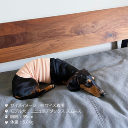シルクメランジ ワンちゃん(超/小型犬)用 ロングタイプ 腹巻き S/M/Lサイズ 4枚目の画像