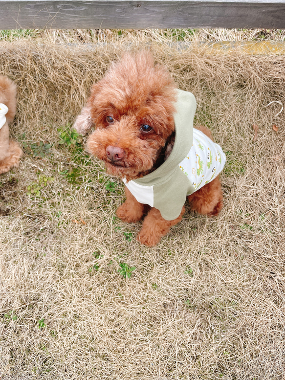 犬服☆ドラゴンとアースカラーのフード付きTシャツ 9枚目の画像