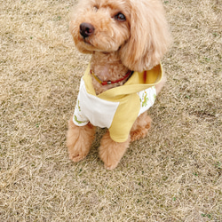 犬服☆ドラゴンとアースカラーのフード付きTシャツ 11枚目の画像