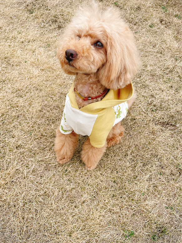 犬服☆ドラゴンとアースカラーのフード付きTシャツ 11枚目の画像