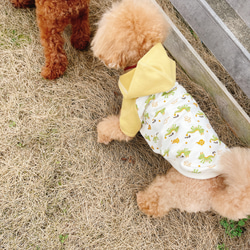 犬服☆ドラゴンとアースカラーのフード付きTシャツ 12枚目の画像