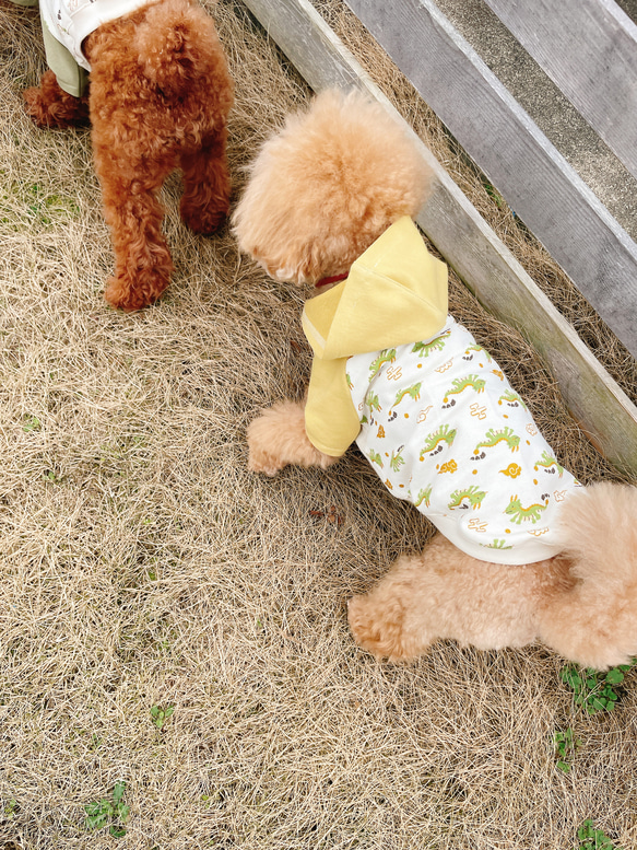 犬服☆ドラゴンとアースカラーのフード付きTシャツ 12枚目の画像