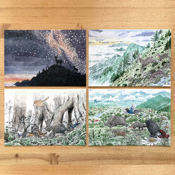 自然筆記明信片－台灣山野 第3張的照片
