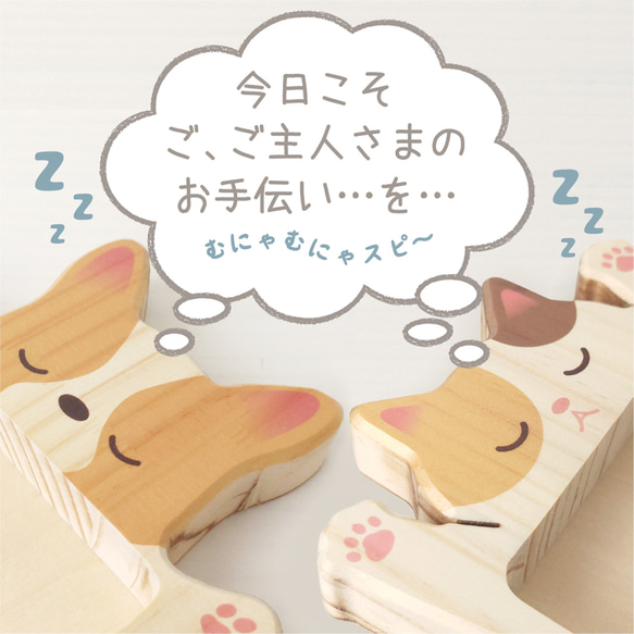 へそ天ペントレイ 7枚目の画像