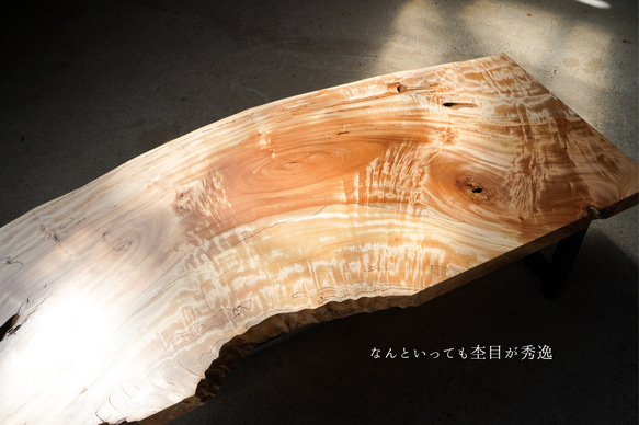 キラキラ杢とスポルテッドのラインが美しい 栃の一枚板 ローテーブル 12枚目の画像