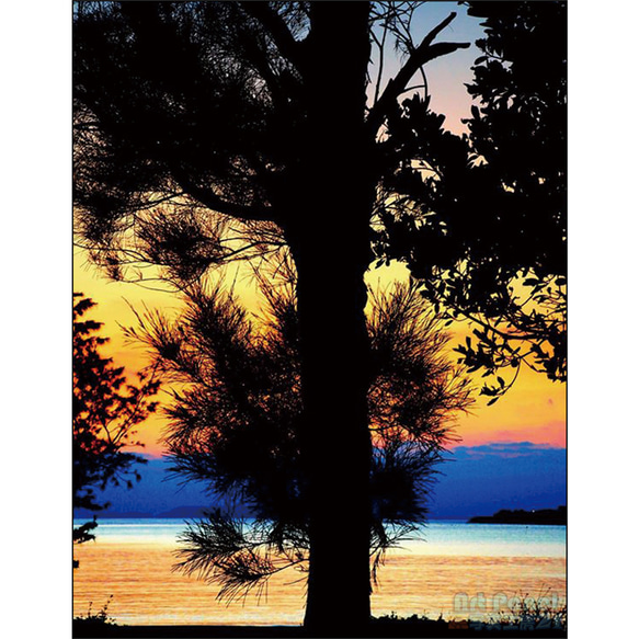 明ける空と樹木_001【Ｓサイズ】/アートパネル 4枚目の画像