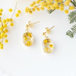 flowerJewelry  earaccessory「mimosa」 1枚目の画像