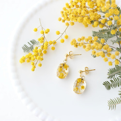 flowerJewelry  earaccessory「mimosa」 4枚目の画像