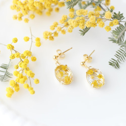 flowerJewelry  earaccessory「mimosa」 2枚目の画像