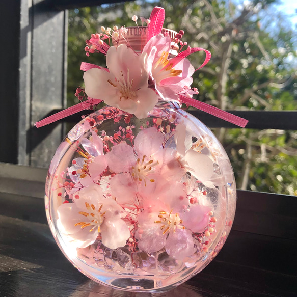 桜ハーバリウム ネコ瓶 Mサイズ ハーバリウム・植物標本