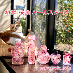 桜ハーバリウム　ネコ瓶　Mサイズ 10枚目の画像