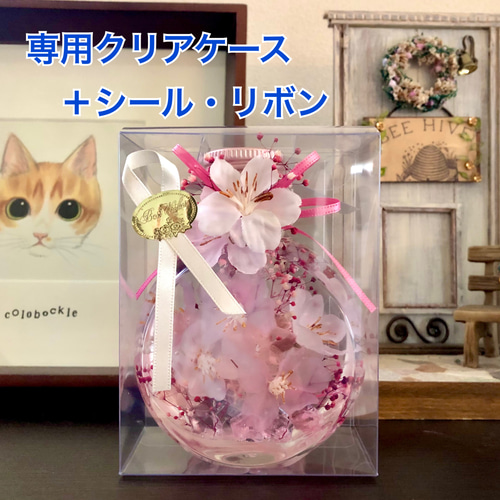 桜ハーバリウム ネコ瓶 Mサイズ ハーバリウム・植物標本 nekonote_mie
