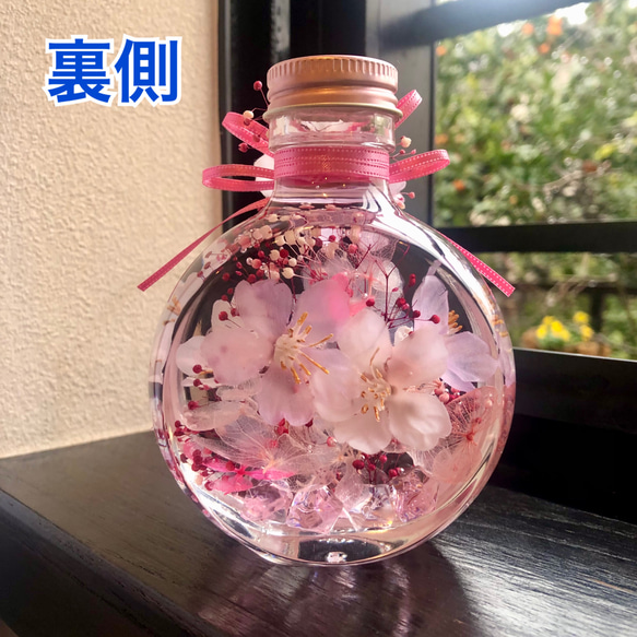 桜ハーバリウム　ネコ瓶　Mサイズ 7枚目の画像