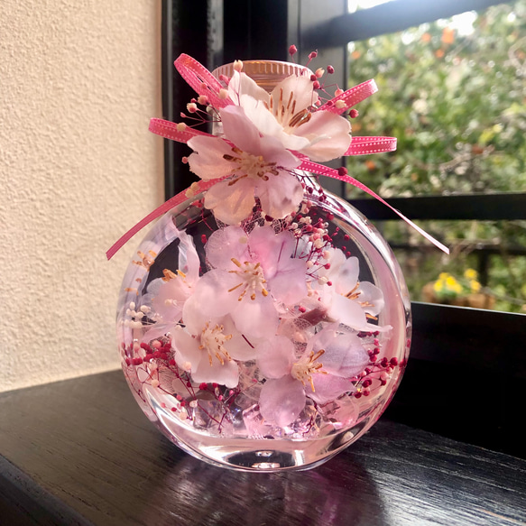 桜ハーバリウム　ネコ瓶　Mサイズ 6枚目の画像