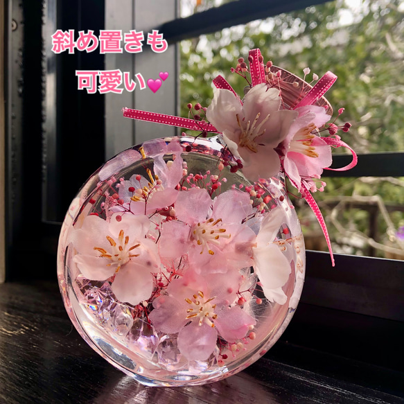 桜ハーバリウム　ネコ瓶　Mサイズ 2枚目の画像