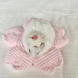 桜のケーキハット　ハムスター⋆小動物⋆ぬいぐるみ 4枚目の画像