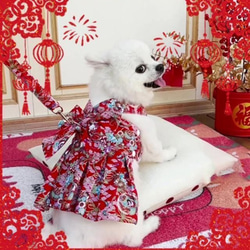 犬服 和風ワンピース  浴衣 ハーネス 着物 お姫様 ドッグウェア 猫和服 お正月 お祝い 結婚式 ch-814 3枚目の画像