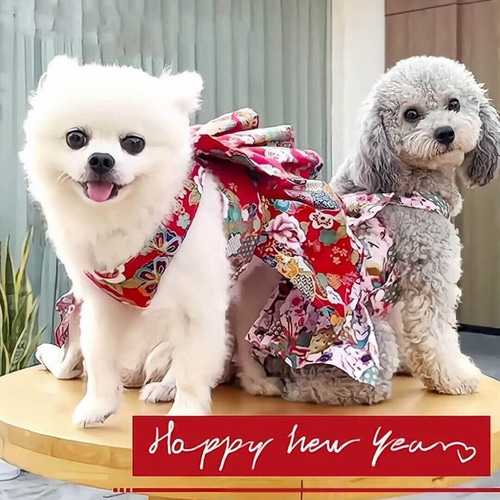 犬服 和風ワンピース 浴衣 ハーネス 着物 お姫様 ドッグウェア 猫和服