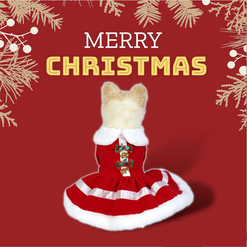クリスマスドレス サンタ犬 サンタワンピース サンタ
